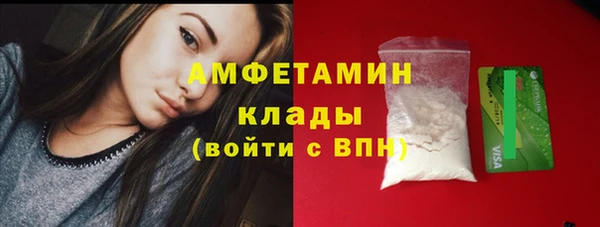 винт Абаза